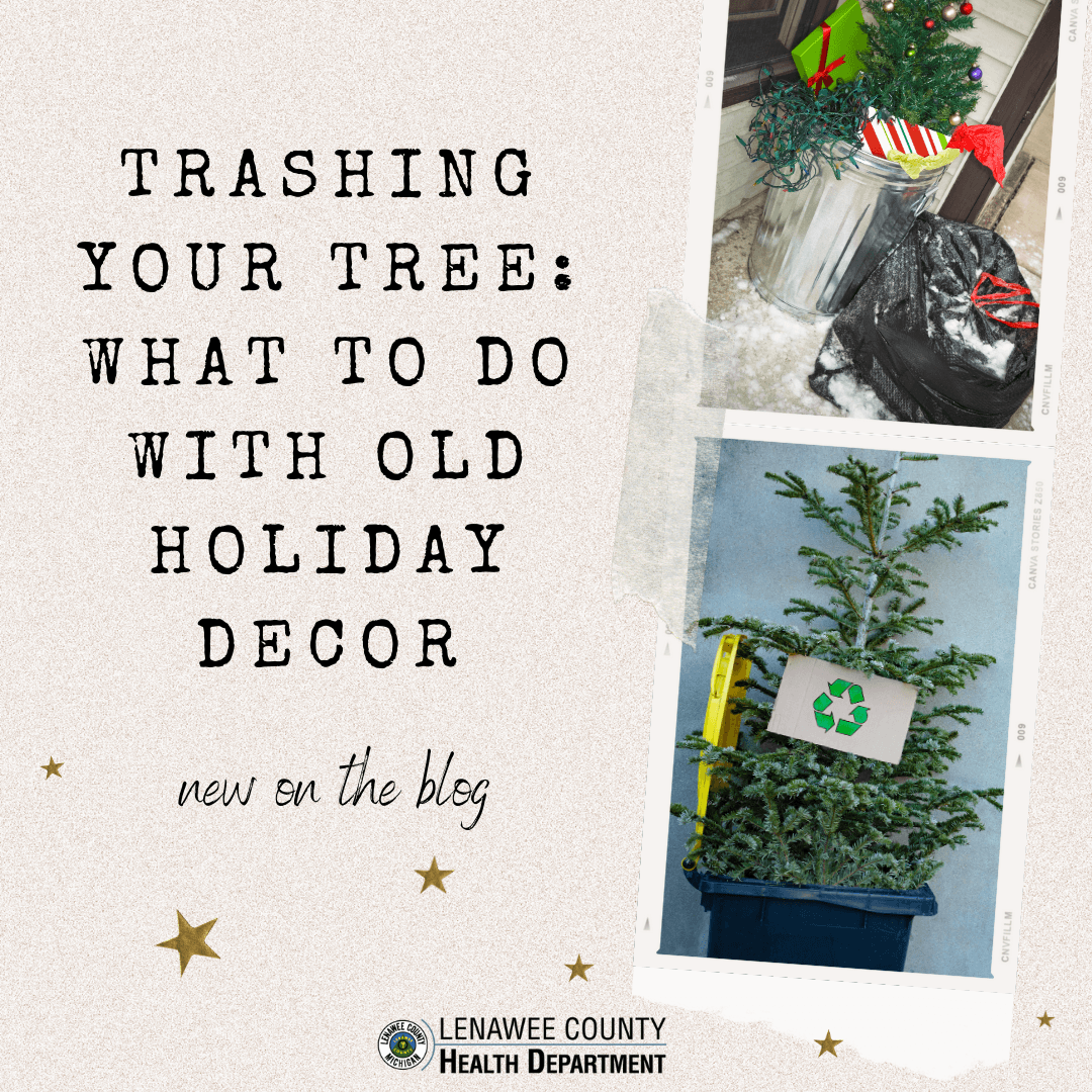 Trashing Your Tree - New on the Blog