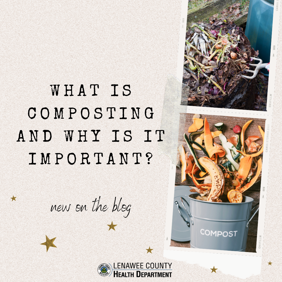 Blog: What is Composting and Why is it Important?