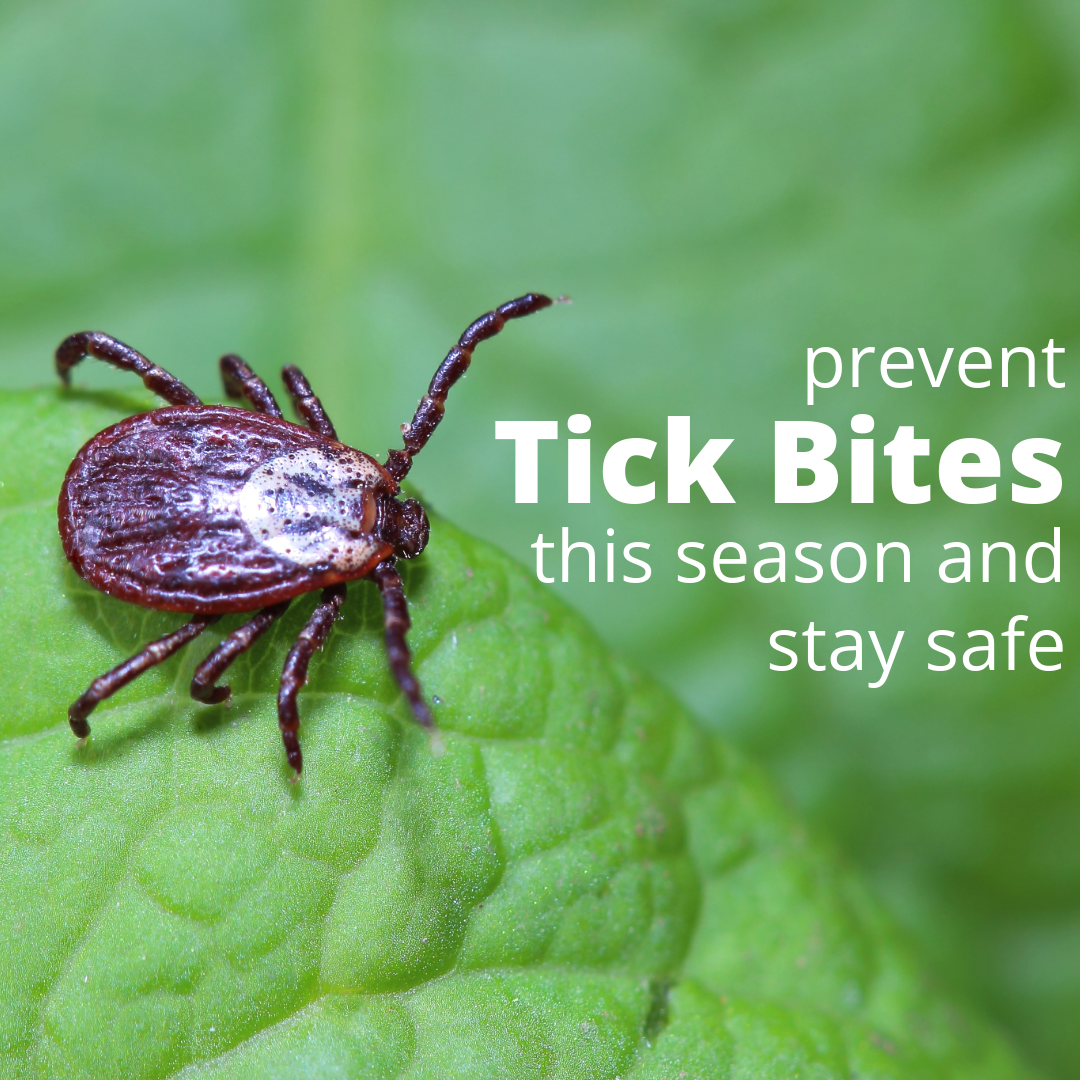 prevent tick bites this season and stay safe