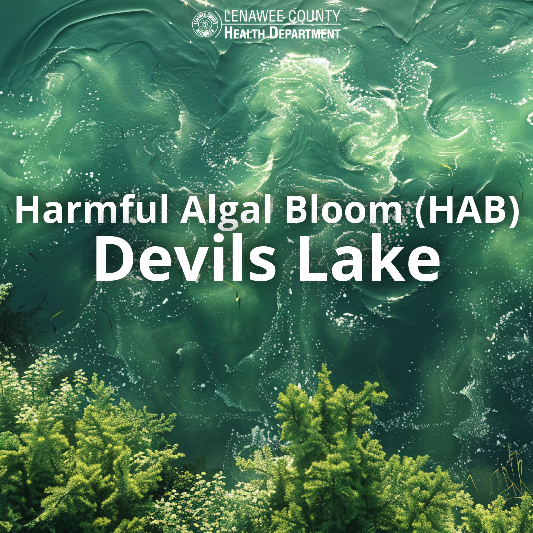 HAB Devils Lake