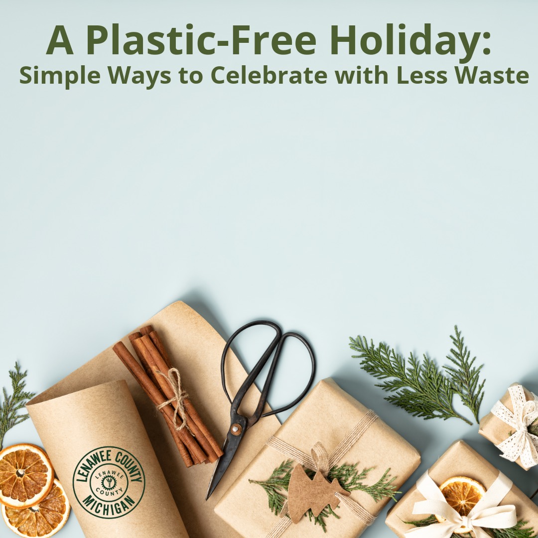A Plastic-Free Holiday: Simple Ways to Celebrate with Less Waste Newsflash