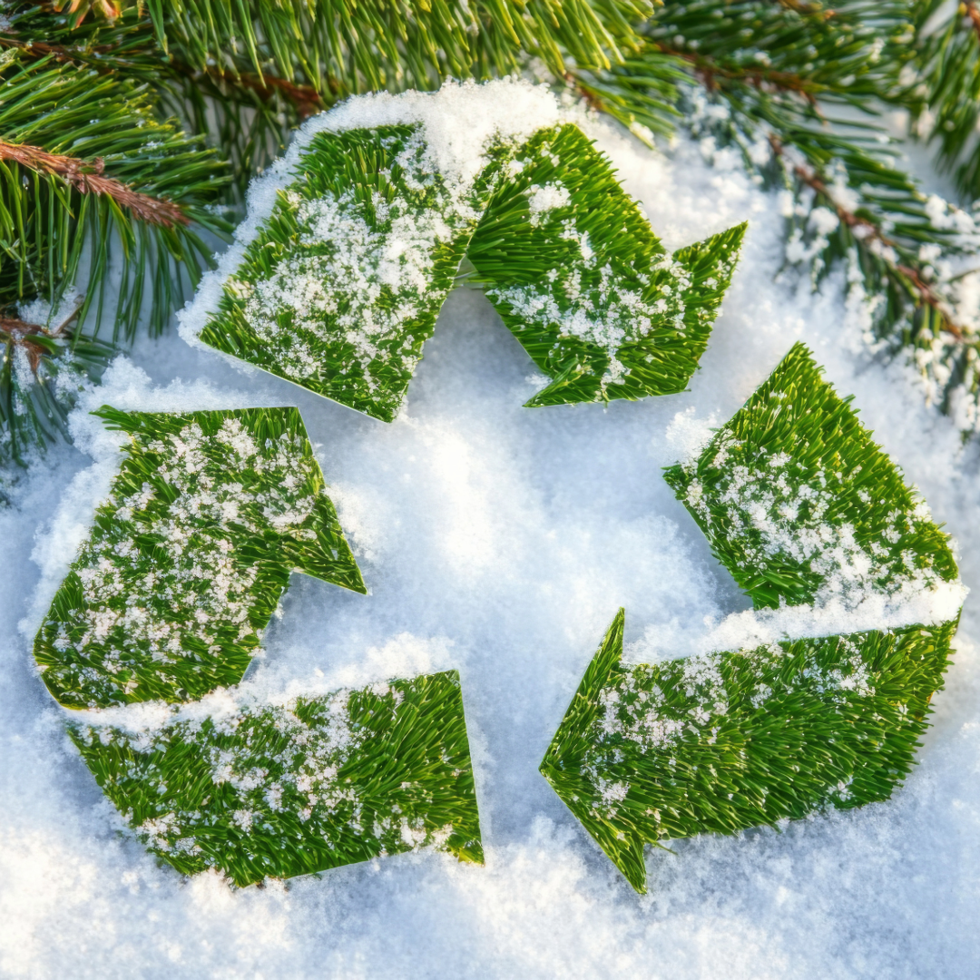 recycle in winter
