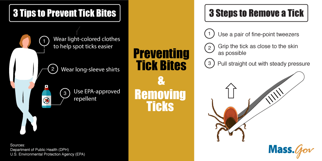 ticks-prevention-removal 2019
