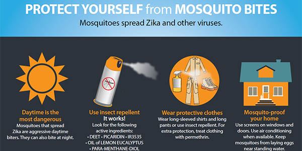mosquito protection