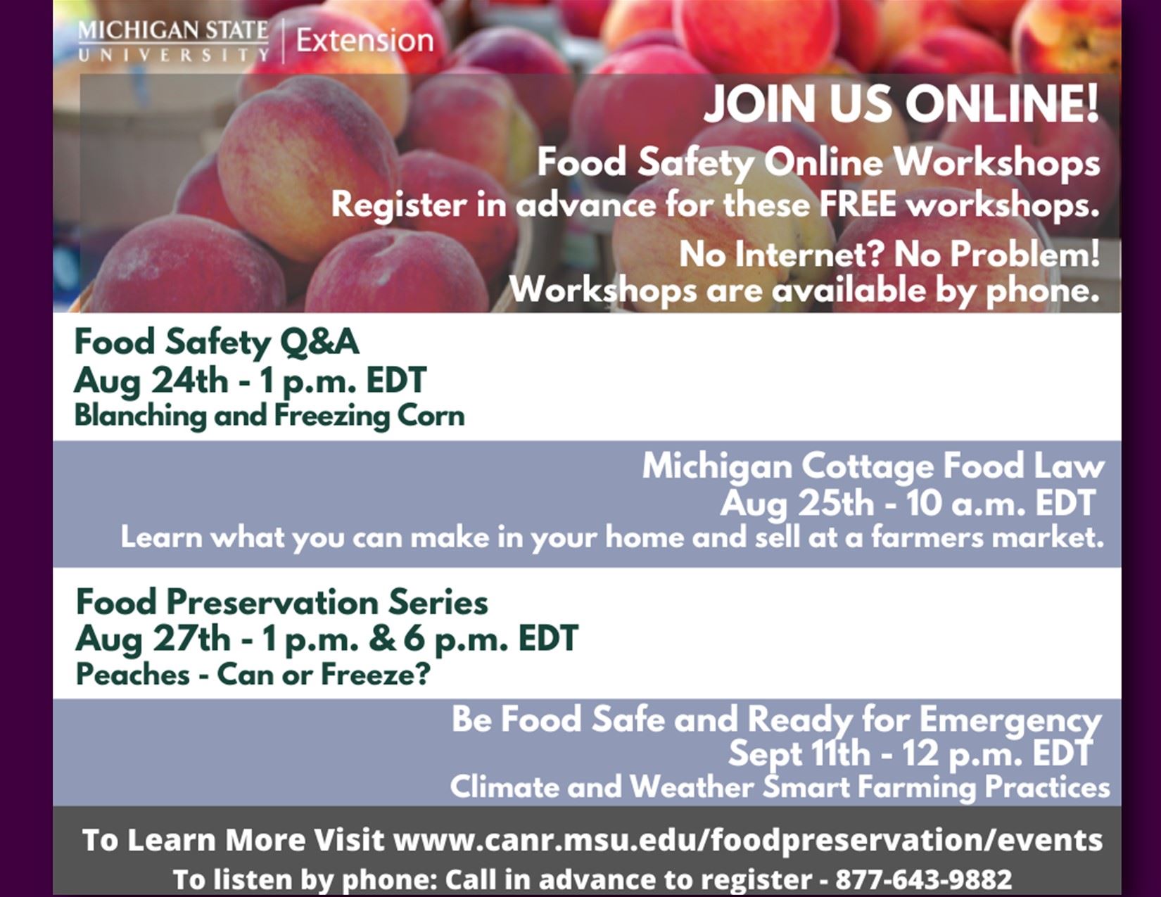 Food Safety virtual