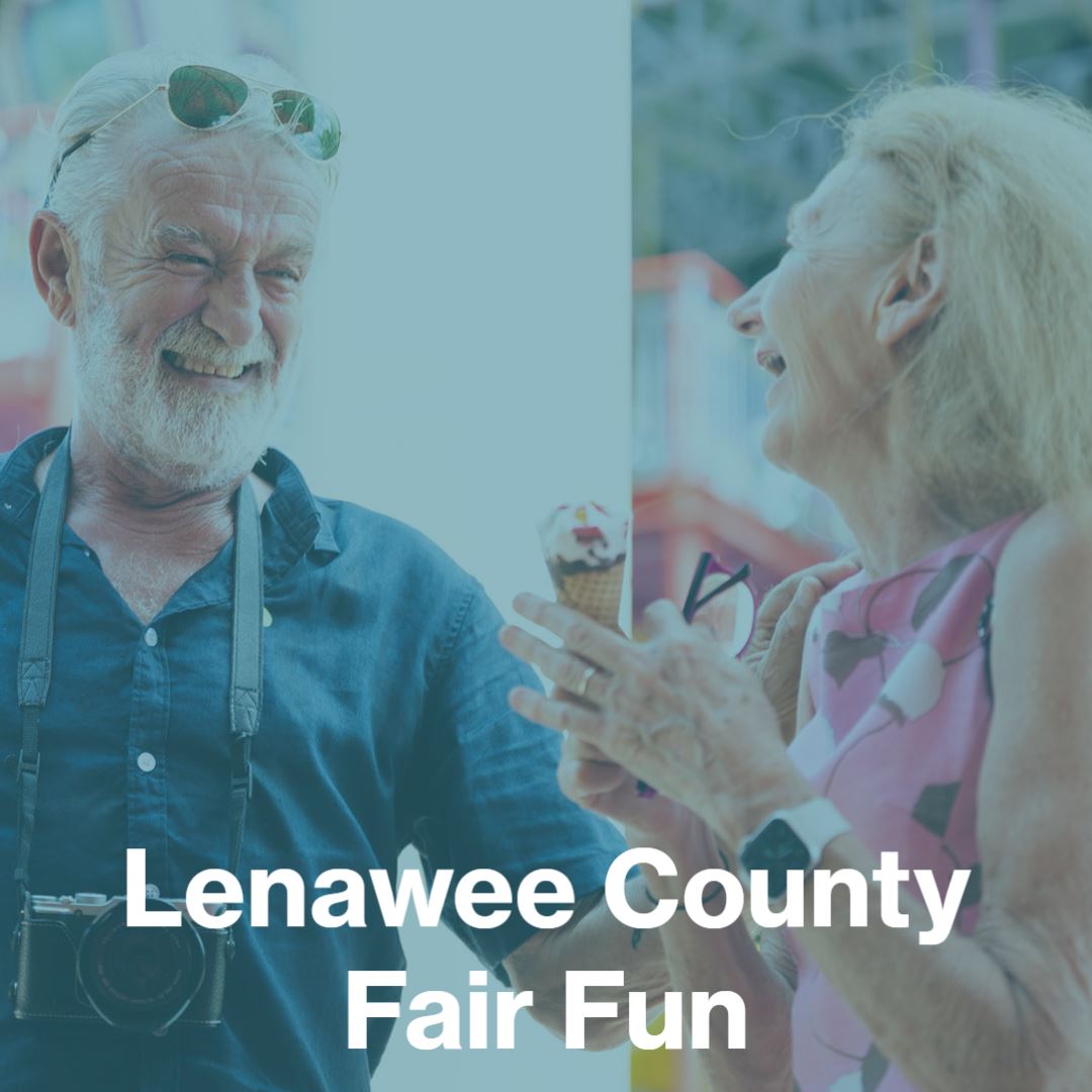lenawee county fair fun