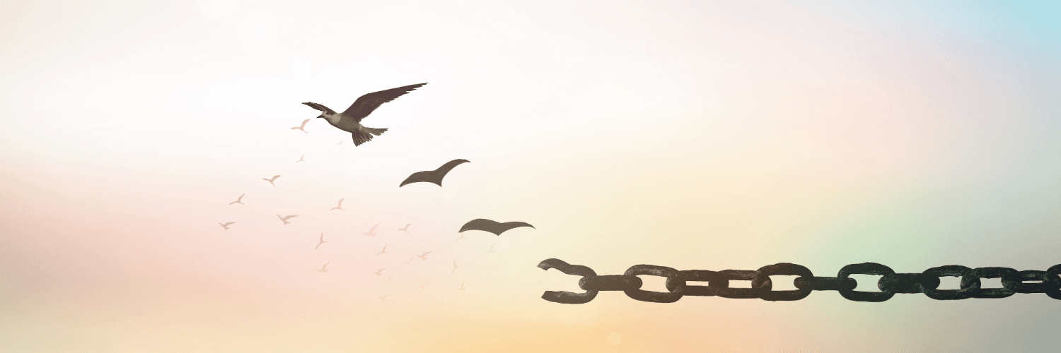 birds flying off chains