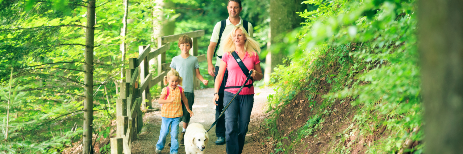 Family Hiking in Woods