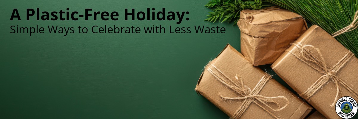 A Plastic-Free Holiday: Simple Ways to Celebrate with Less Waste Blog Header