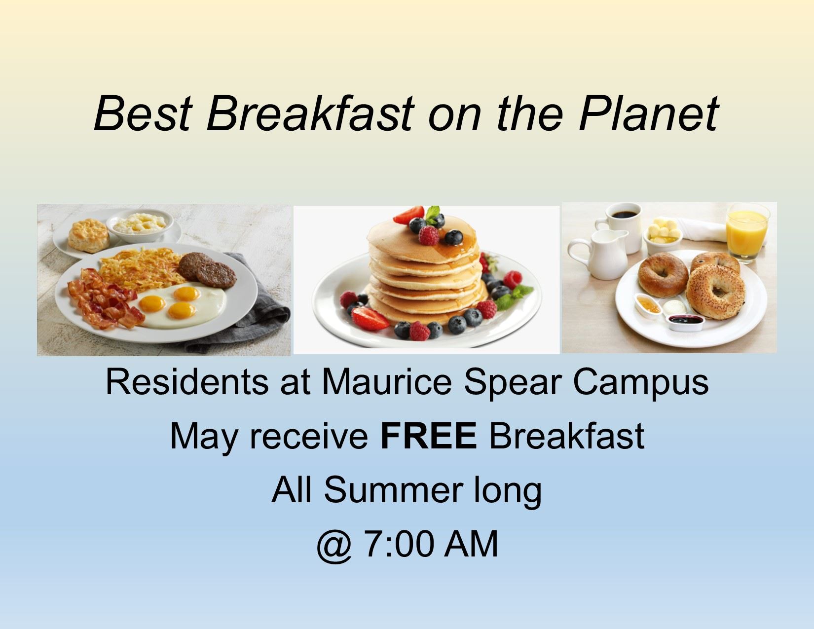 MSC Breakfast Newsflash II