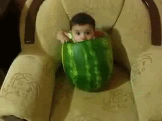 baby eating watermelon